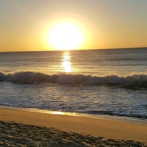 Meet your Posher, Shelley